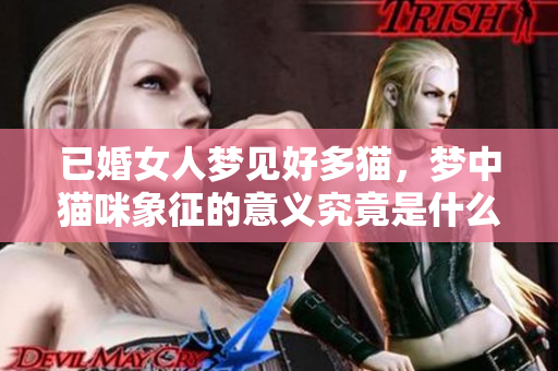 已婚女人梦见好多猫，梦中猫咪象征的意义究竟是什么呢