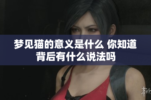 梦见猫的意义是什么 你知道背后有什么说法吗