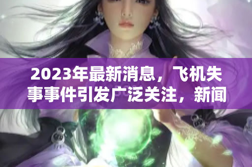 2023年最新消息，飞机失事事件引发广泛关注，新闻持续更新中