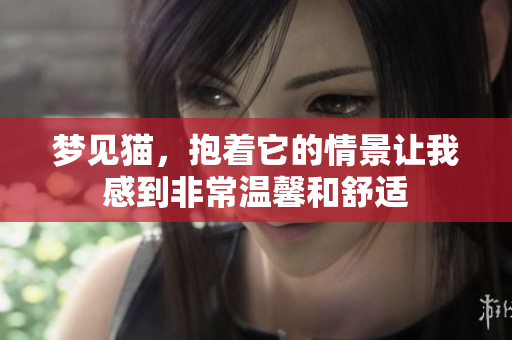 梦见猫，抱着它的情景让我感到非常温馨和舒适