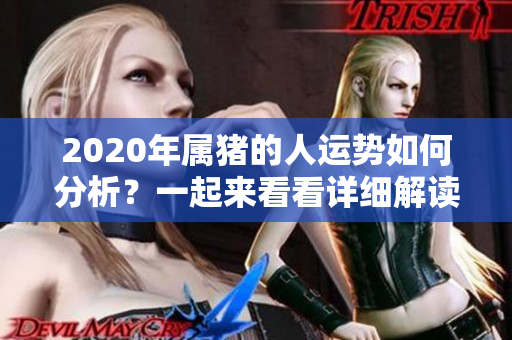 2020年属猪的人运势如何分析？一起来看看详细解读吧！