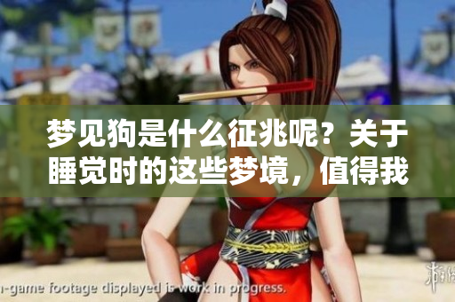 梦见狗是什么征兆呢？关于睡觉时的这些梦境，值得我们深思。