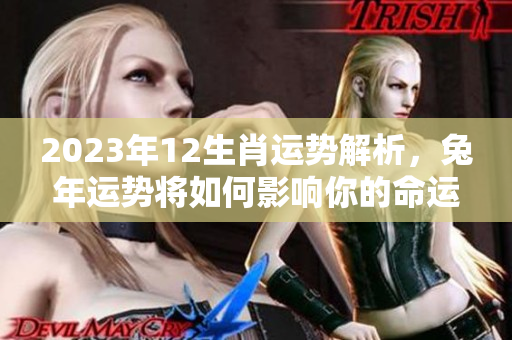 2023年12生肖运势解析，兔年运势将如何影响你的命运呢
