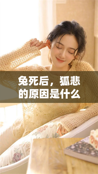 兔死后，狐悲的原因是什么生肖呢？让我们一起来探讨一下。