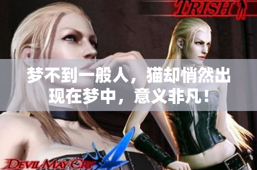 梦不到一般人，猫却悄然出现在梦中，意义非凡！