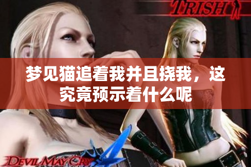 梦见猫追着我并且挠我，这究竟预示着什么呢