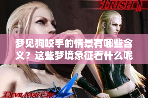 梦见狗咬手的情景有哪些含义？这些梦境象征着什么呢？