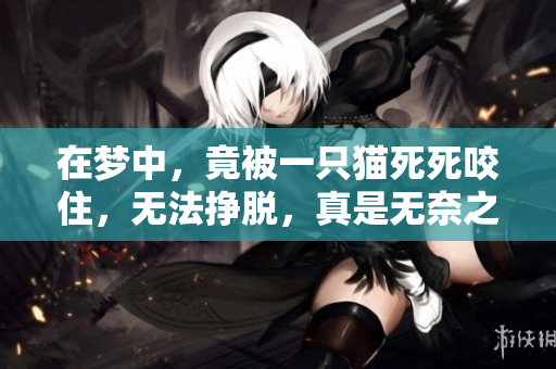 在梦中，竟被一只猫死死咬住，无法挣脱，真是无奈之极