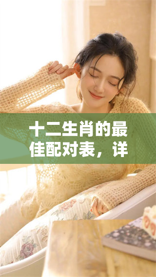 十二生肖的最佳配对表，详细大全助你找到完美伴侣