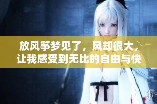 放风筝梦见了，风却很大，让我感受到无比的自由与快乐。