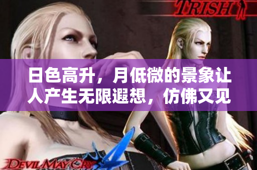 日色高升，月低微的景象让人产生无限遐想，仿佛又见生肖的魅力。
