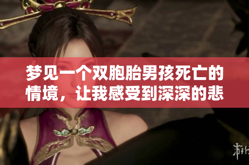 梦见一个双胞胎男孩死亡的情境，让我感受到深深的悲痛与不安