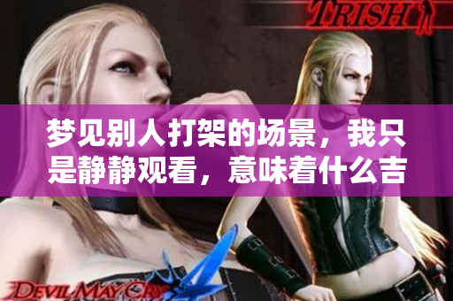 梦见别人打架的场景，我只是静静观看，意味着什么吉凶呢