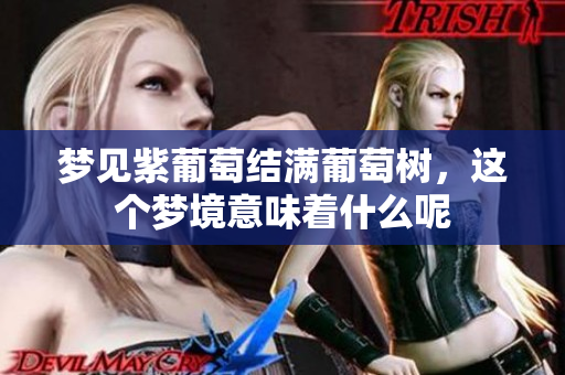 梦见紫葡萄结满葡萄树，这个梦境意味着什么呢