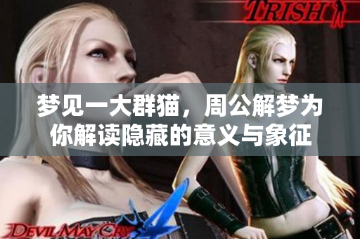 梦见一大群猫，周公解梦为你解读隐藏的意义与象征
