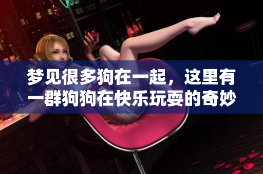 梦见很多狗在一起，这里有一群狗狗在快乐玩耍的奇妙场景