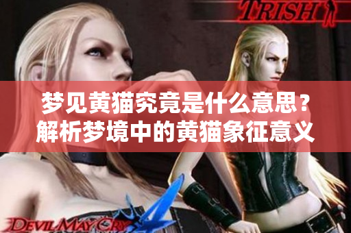 梦见黄猫究竟是什么意思？解析梦境中的黄猫象征意义