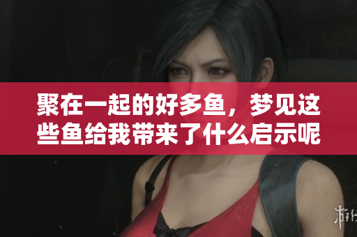 聚在一起的好多鱼，梦见这些鱼给我带来了什么启示呢