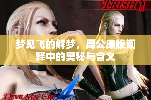 梦见飞的解梦，周公原版阐释中的奥秘与含义