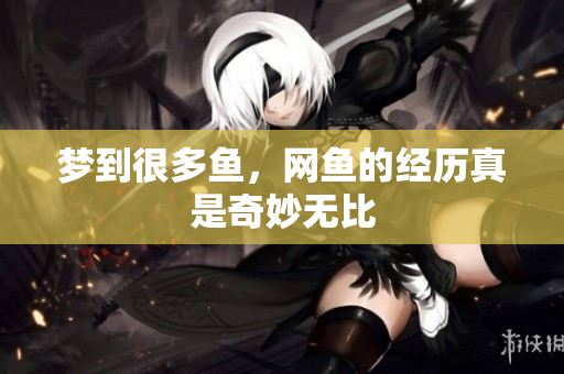 梦到很多鱼，网鱼的经历真是奇妙无比
