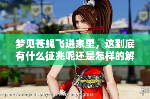 梦见苍蝇飞进家里，这到底有什么征兆呢还是怎样的解释呢