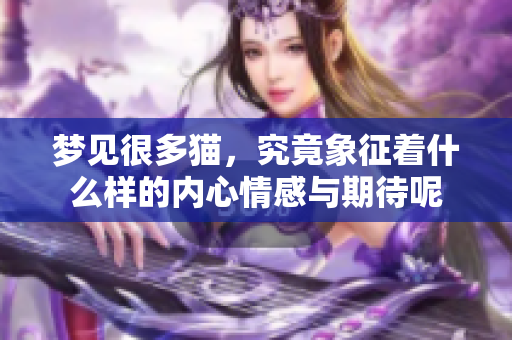 梦见很多猫，究竟象征着什么样的内心情感与期待呢