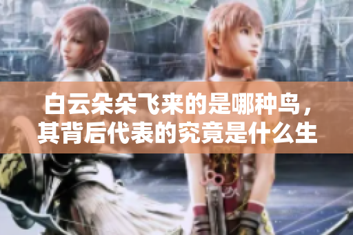 白云朵朵飞来的是哪种鸟，其背后代表的究竟是什么生肖呢