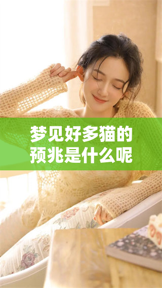梦见好多猫的预兆是什么呢？特别是对于女性来说又意味着什么呢