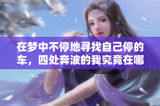 在梦中不停地寻找自己停的车，四处奔波的我究竟在哪里找寻呢