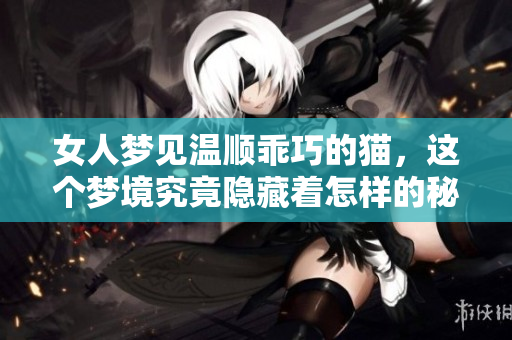 女人梦见温顺乖巧的猫，这个梦境究竟隐藏着怎样的秘密呢