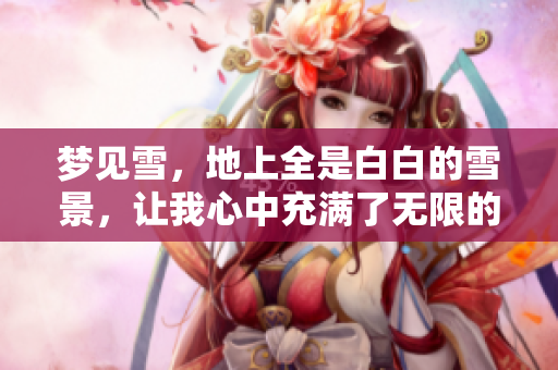 梦见雪，地上全是白白的雪景，让我心中充满了无限的回忆与感慨