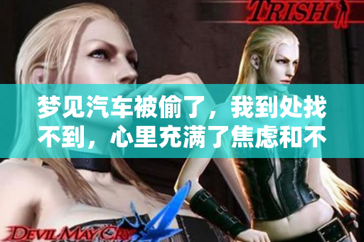 梦见汽车被偷了，我到处找不到，心里充满了焦虑和不安。