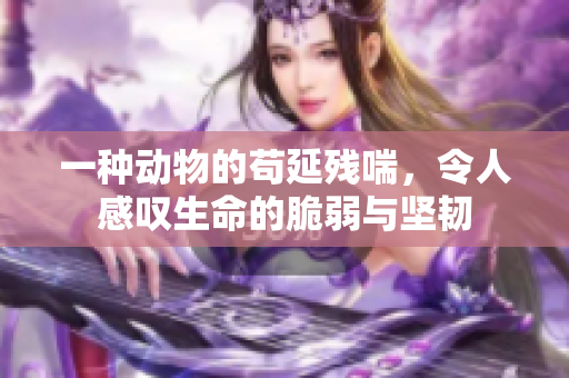 一种动物的苟延残喘，令人感叹生命的脆弱与坚韧