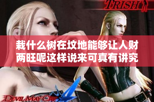 栽什么树在坟地能够让人财两旺呢这样说来可真有讲究