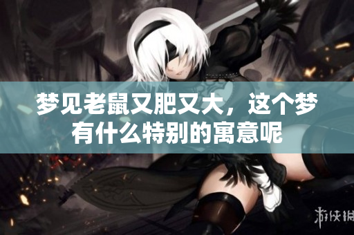 梦见老鼠又肥又大，这个梦有什么特别的寓意呢