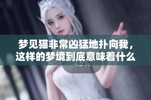 梦见猫非常凶猛地扑向我，这样的梦境到底意味着什么呢