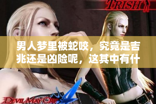男人梦里被蛇咬，究竟是吉兆还是凶险呢，这其中有什么奥秘？