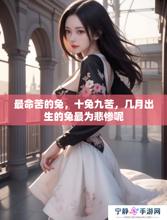 最命苦的兔，十兔九苦，几月出生的兔最为悲惨呢