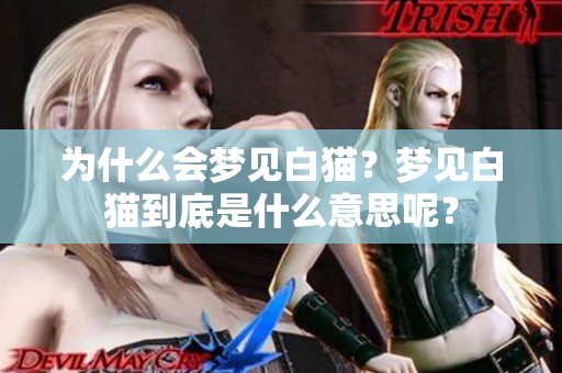 为什么会梦见白猫？梦见白猫到底是什么意思呢？
