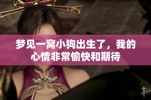梦见一窝小狗出生了，我的心情非常愉快和期待