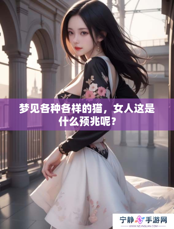 梦见各种各样的猫，女人这是什么预兆呢？