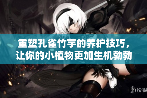 重塑孔雀竹芋的养护技巧，让你的小植物更加生机勃勃