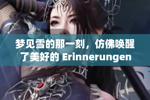 梦见雪的那一刻，仿佛唤醒了美好的 Erinnerungen