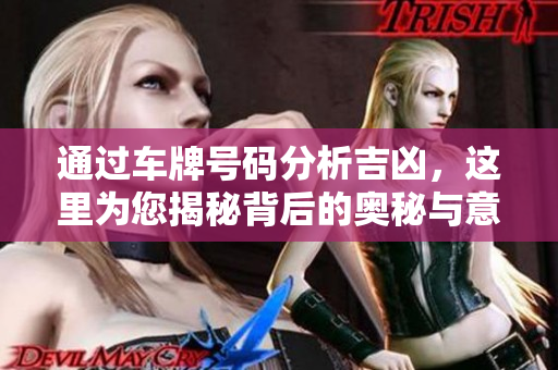 通过车牌号码分析吉凶，这里为您揭秘背后的奥秘与意义