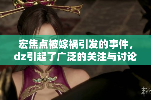 宏焦点被嫁祸引发的事件，dz引起了广泛的关注与讨论