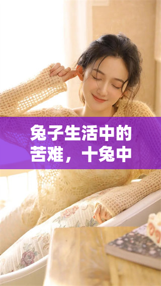 兔子生活中的苦难，十兔中九只承受着，是真的吗？