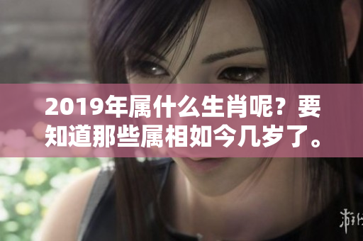 2019年属什么生肖呢？要知道那些属相如今几岁了。