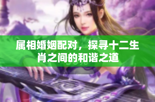 属相婚姻配对，探寻十二生肖之间的和谐之道