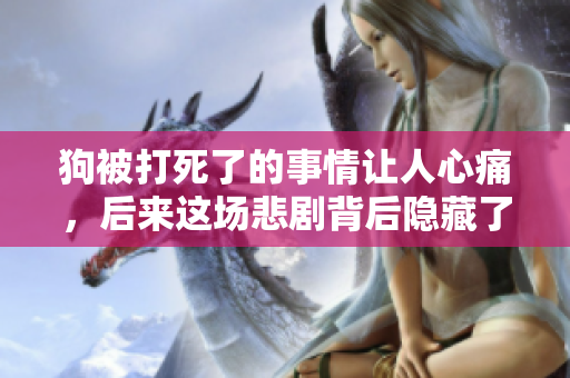 狗被打死了的事情让人心痛，后来这场悲剧背后隐藏了哪些原因呢