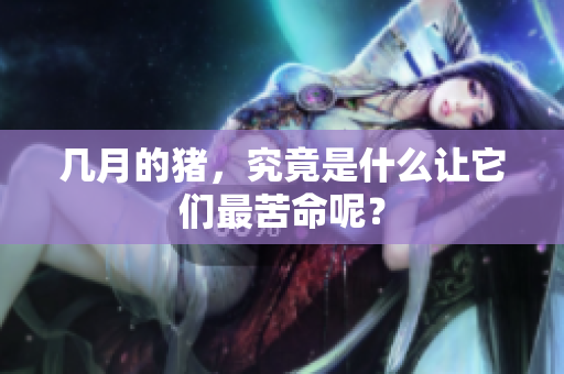 几月的猪，究竟是什么让它们最苦命呢？
